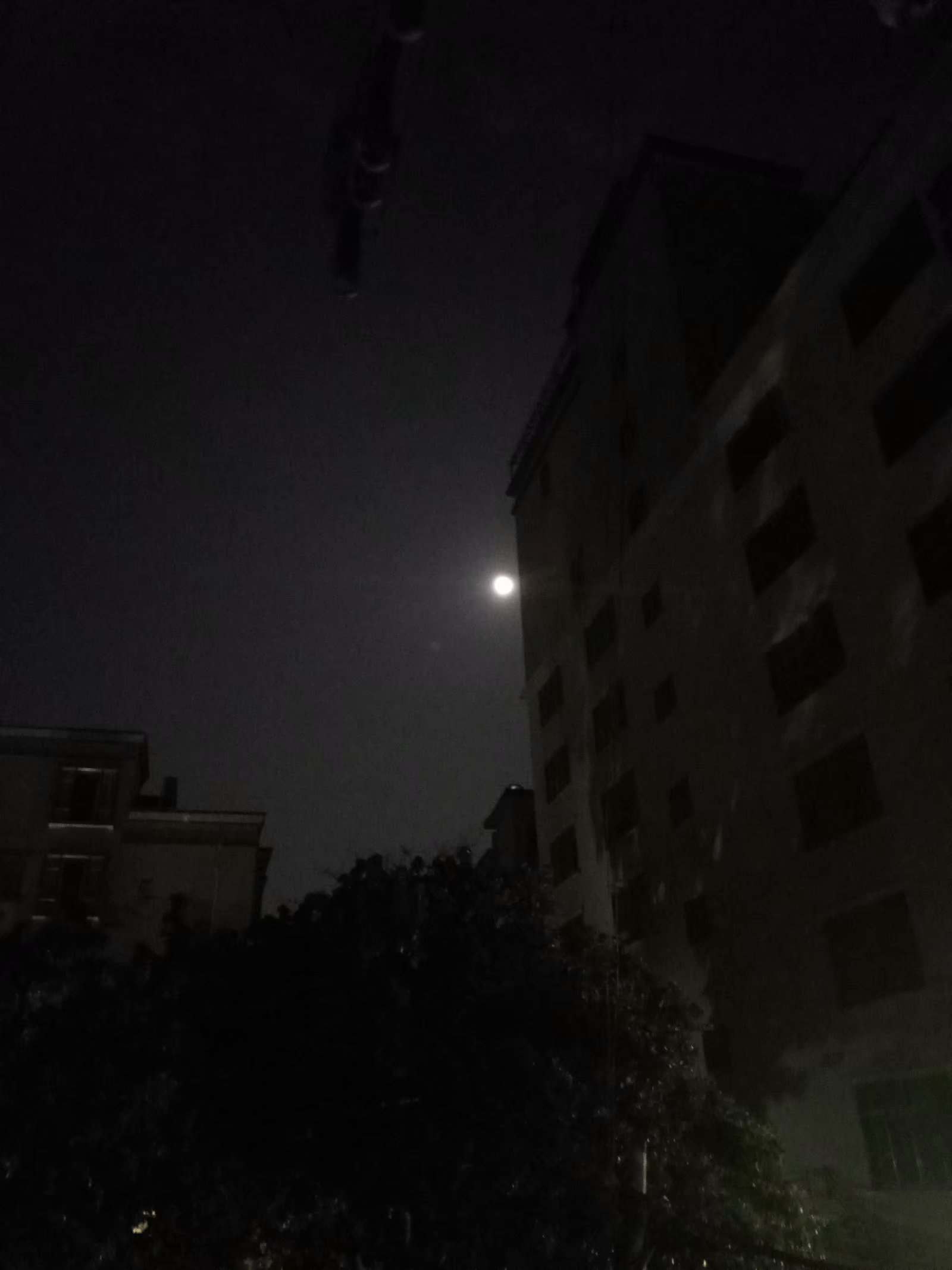 9.25 (1).jpg 十五的月亮十六圆 一句话
