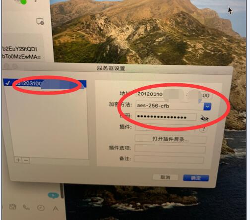如何在苹果电脑（Mac）上使用ShadowsocksX-NG，苹果MAC梭影SS，MacBook ，苹果笔记本，Mac电脑，Mac笔记本，macos 互联网IT 第3张
