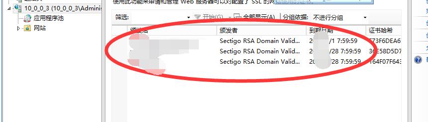 IIS更新新证书，还是老证书时间，IIS更新证书失败 互联网IT 第16张