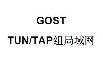 QQ截图20220410104359.jpg gost，TUN/TAP设备，TUN/TAP组局域网，gost端口转发，端口映射，http代理搭建，SOCKS5代理搭建，shadowsocks代理搭建 互联网IT