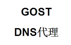 QQ截图20220410113103.jpg gost，DNS代理，gost端口转发，端口映射，http代理搭建，SOCKS5代理搭建，shadowsocks代理搭建 互联网IT