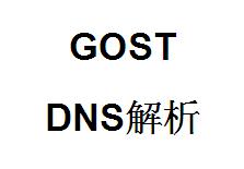 QQ截图20220410113445.jpg gost，DNS解析，gost端口转发，端口映射，http代理搭建，SOCKS5代理搭建，shadowsocks代理搭建 互联网IT