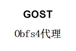 QQ截图20220410145500.jpg gost，Obfs4代理，gost端口转发，端口映射，http代理搭建，SOCKS5代理搭建，shadowsocks代理搭建 互联网IT
