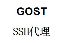 QQ截图20220410150602.jpg gost，SSH代理，gost端口转发，端口映射，http代理搭建，SOCKS5代理搭建，shadowsocks代理搭建 互联网IT