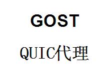 QQ截图20220410184717.jpg gost，QUIC代理，gost端口转发，端口映射，http代理搭建，SOCKS5代理搭建，shadowsocks代理搭建 互联网IT