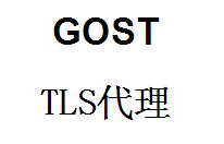 QQ截图20220410191443.jpg gost，TLS代理，gost端口转发，端口映射，http代理搭建，SOCKS5代理搭建，shadowsocks代理搭建 互联网IT